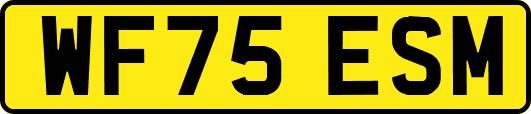 WF75ESM