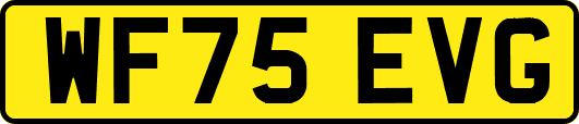 WF75EVG