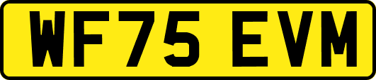 WF75EVM