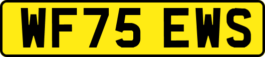 WF75EWS