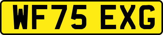 WF75EXG