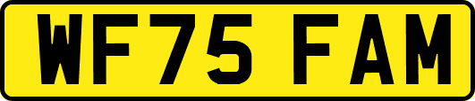 WF75FAM