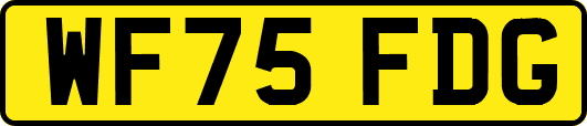 WF75FDG