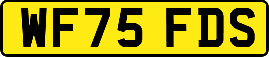 WF75FDS