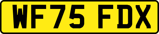WF75FDX