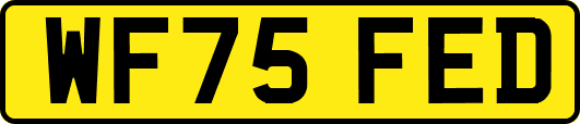 WF75FED