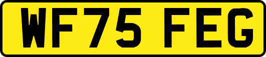 WF75FEG