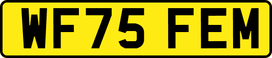 WF75FEM