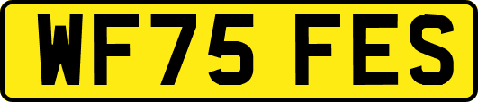 WF75FES