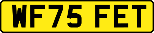 WF75FET