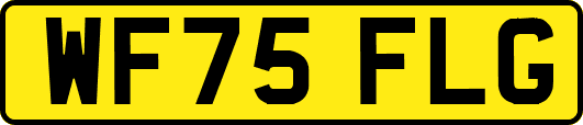 WF75FLG