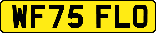 WF75FLO