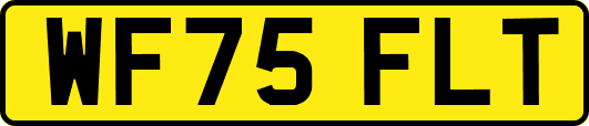 WF75FLT