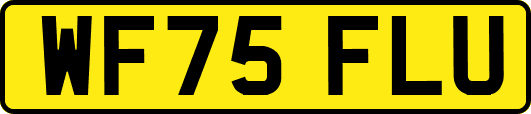 WF75FLU