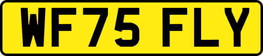 WF75FLY