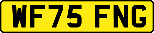WF75FNG