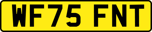 WF75FNT