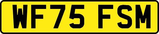 WF75FSM