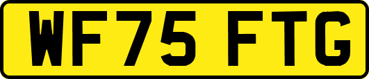 WF75FTG