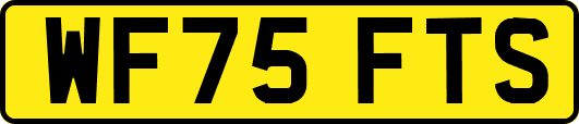 WF75FTS