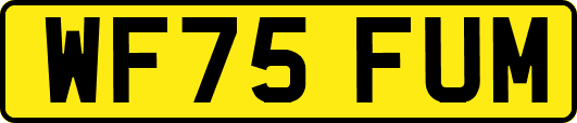 WF75FUM