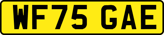 WF75GAE