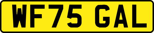 WF75GAL