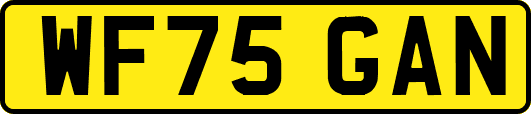 WF75GAN
