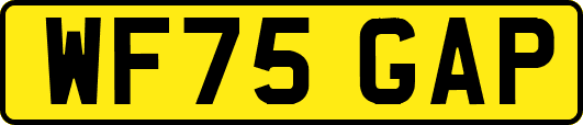 WF75GAP