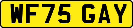 WF75GAY