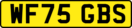 WF75GBS