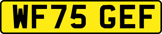 WF75GEF