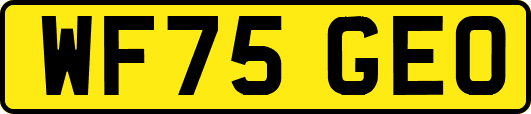 WF75GEO