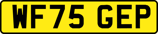 WF75GEP