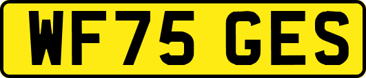 WF75GES