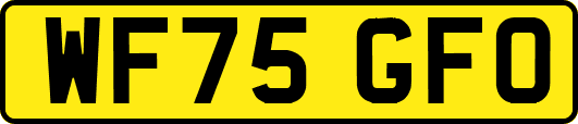 WF75GFO