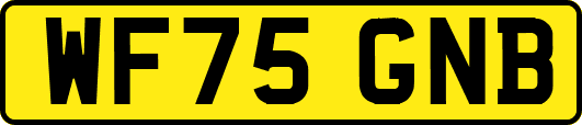WF75GNB