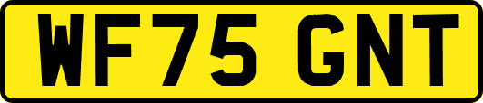 WF75GNT