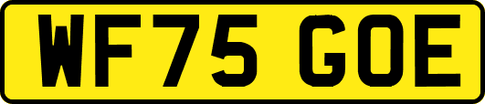 WF75GOE