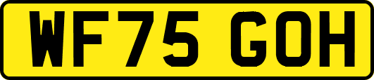 WF75GOH