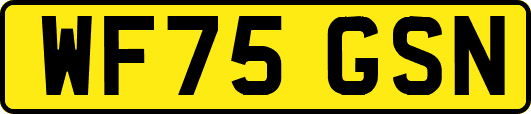 WF75GSN