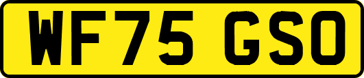 WF75GSO