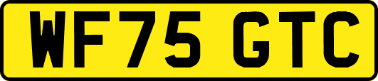 WF75GTC