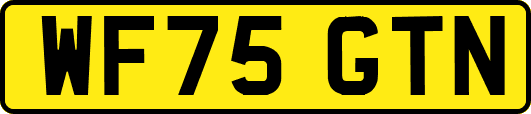WF75GTN