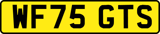 WF75GTS