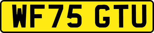 WF75GTU