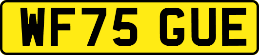 WF75GUE