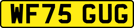 WF75GUG