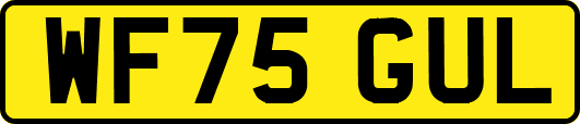 WF75GUL