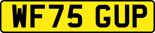 WF75GUP
